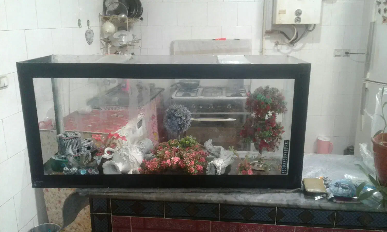 فروش اکواریوم به دلیل نداشتن جا|ماهی|تبریز, |دیوار