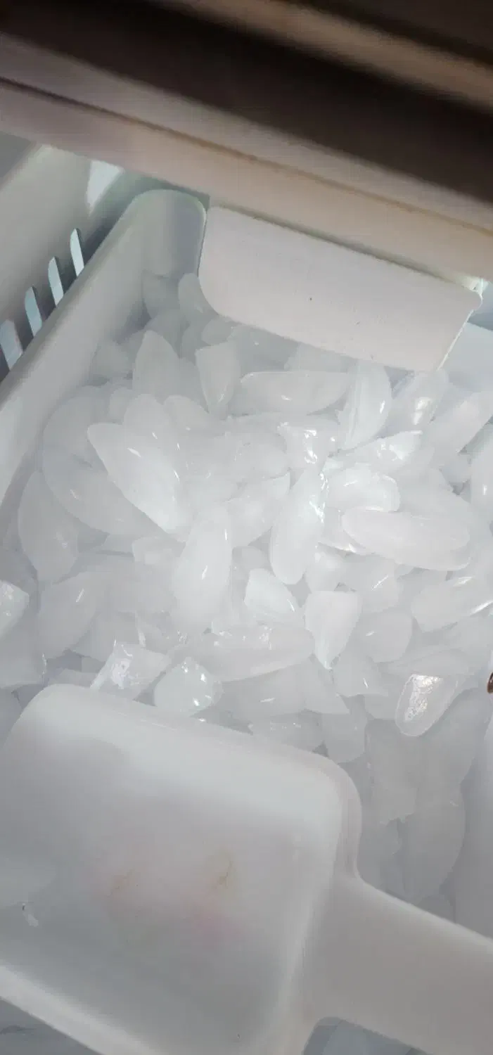 یخچال فریزر سامسونگ|یخچال و فریزر|تربت‌حیدریه, یحیی آباد|دیوار