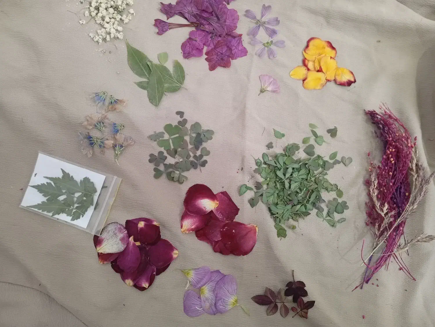 وسایل زرین|صنایع دستی و سایر لوازم تزئینی|خمینی‌شهر, |دیوار