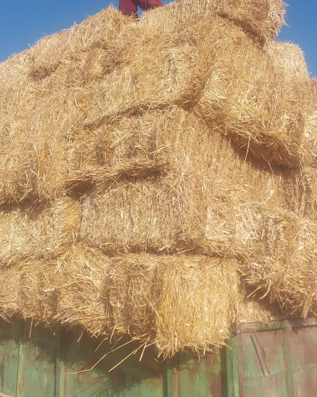 کاه|خوردنی و آشامیدنی|گنبد کاووس, |دیوار