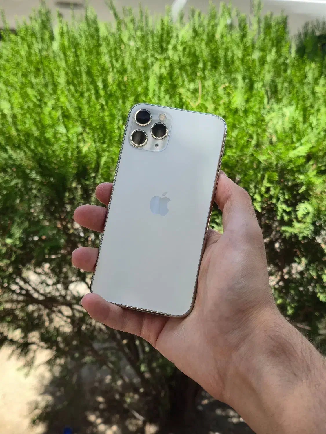 iphone 11 pro|موبایل|شیراز, آزادی|دیوار