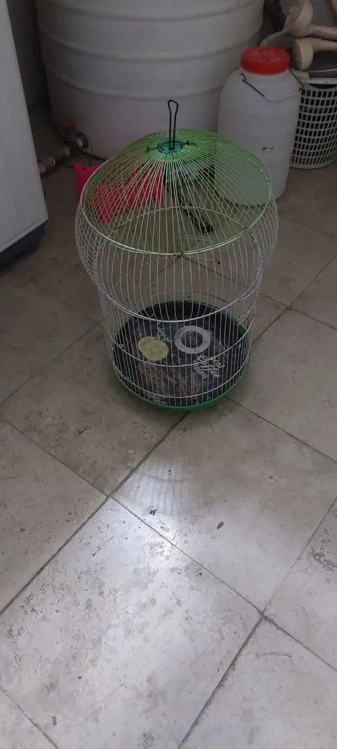 قفس|لوازم جانبی حیوانات|کرج, شهرک سهرابیه|دیوار