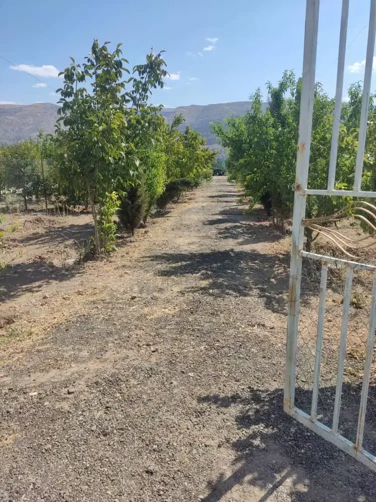 باغ انجیره|فروش زمین و ملک کلنگی|مرودشت, مختارآباد|دیوار