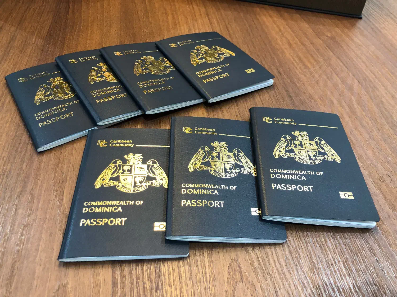 پاسپورت دومـینیکا تـابعیت دوم Investment|خدمات حمل و نقل|تهران, پاسداران|دیوار