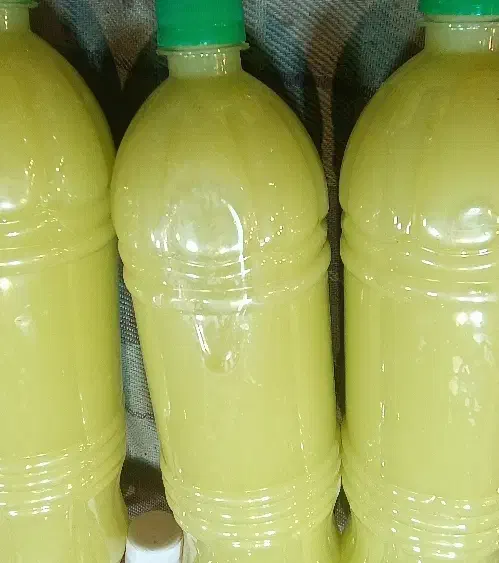 ابلیمو وابغوره شیرازی|خوردنی و آشامیدنی|قزوین, |دیوار