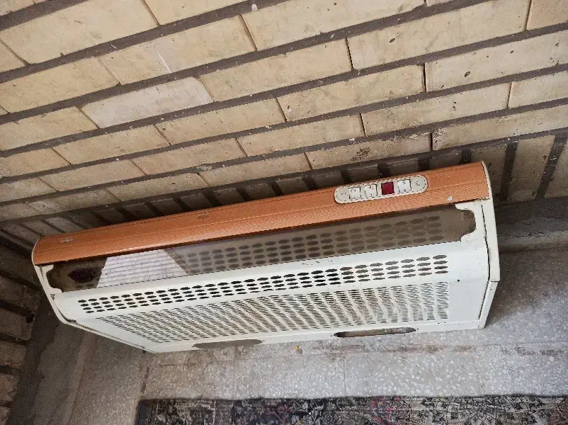 هود|هود|قم, بوستان علوی|دیوار