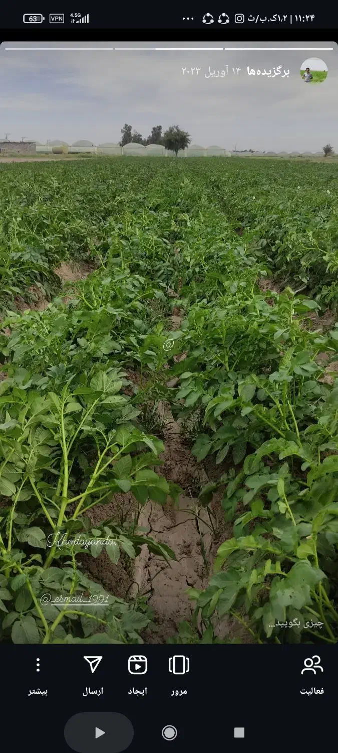 3هکتار زمین مرغوب سیب زمینی محدوده جیرفت|اجارهٔ دفتر صنعتی، کشاورزی، تجاری|جیرفت, |دیوار