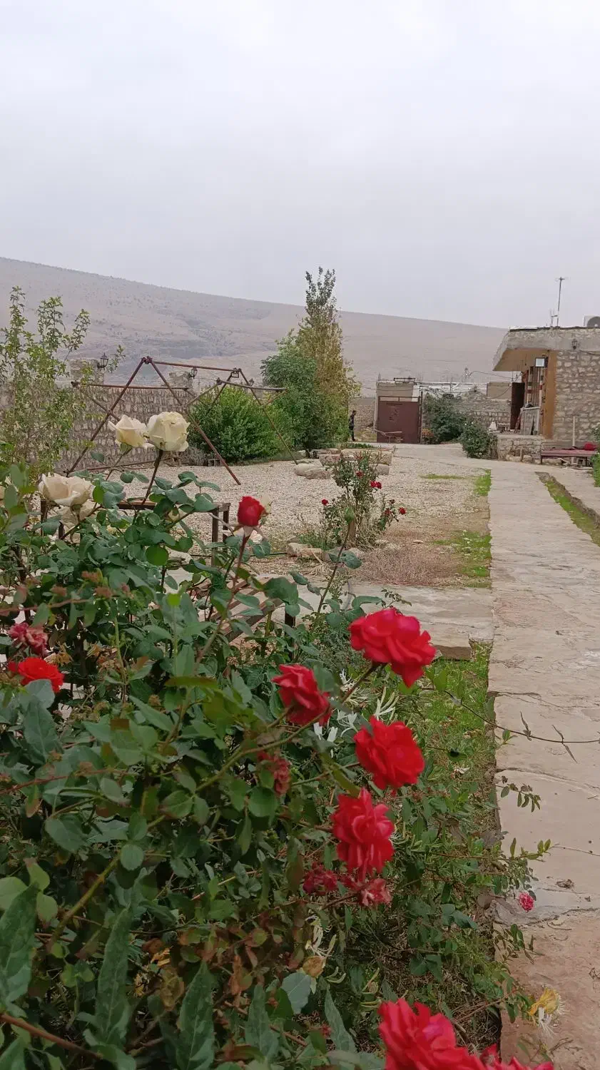 برگزاری مهمانی های خصوصی و اداری جشن مراسمات|خدمات پذیرایی، مراسم|ایذه, |دیوار