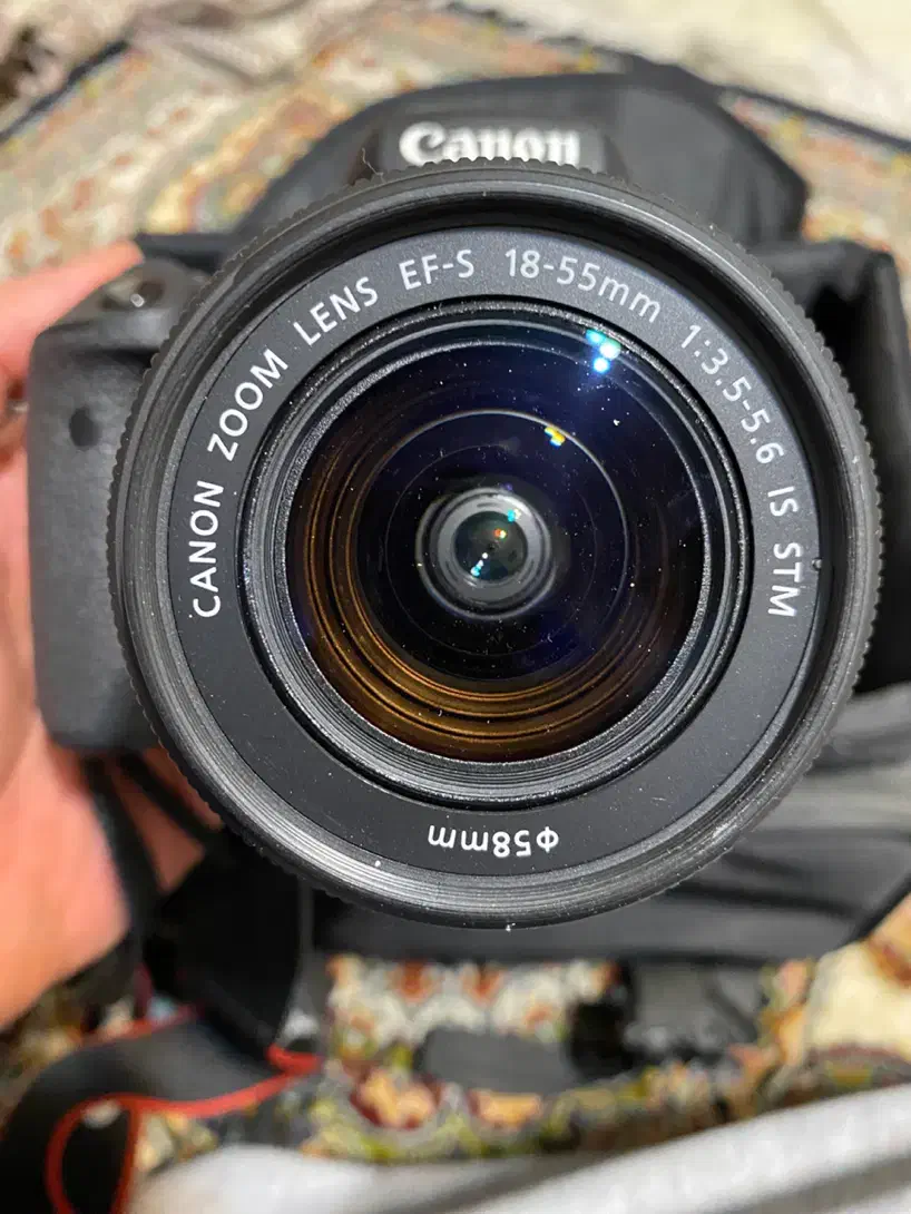 دوربین عکاسی canon 750D|دوربین عکاسی و فیلم‌برداری|تهران, تهرانپارس غربی|دیوار