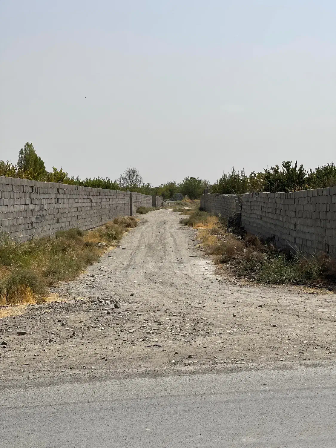 بلوارتوس توس۸۱توس۷۹زمین باغی سوله کارگاهی انبار|فروش دفتر صنعتی، کشاورزی، تجاری|مشهد, شهرک مطهری|دیوار