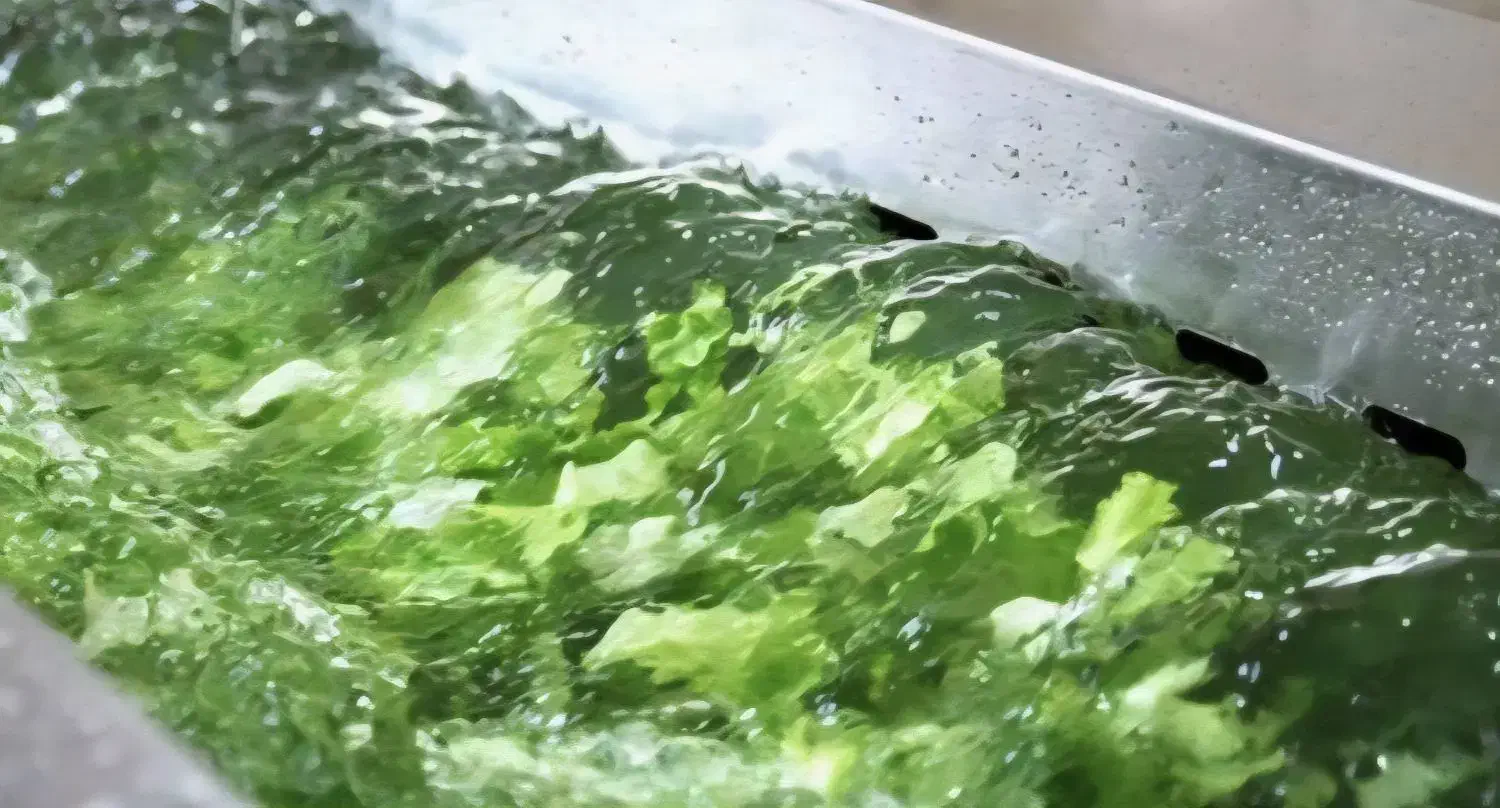 استخدام نیرو خانم جهت کار در کارگاه سبزی|استخدام خدمات فروشگاه و رستوران|اهواز, پردیس دو|دیوار