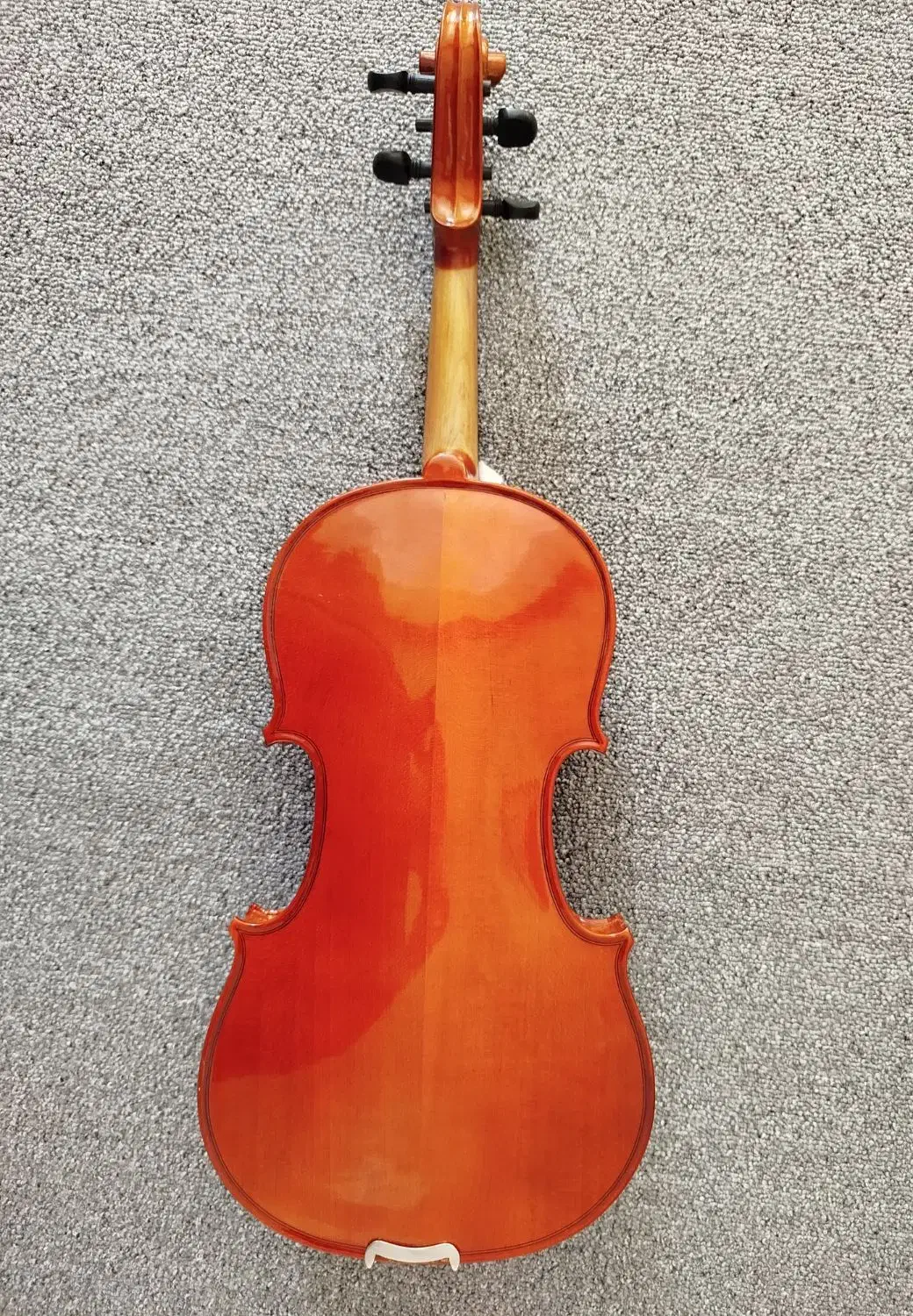 ویولن مدل dynasty|ویولن|دهلران, |دیوار