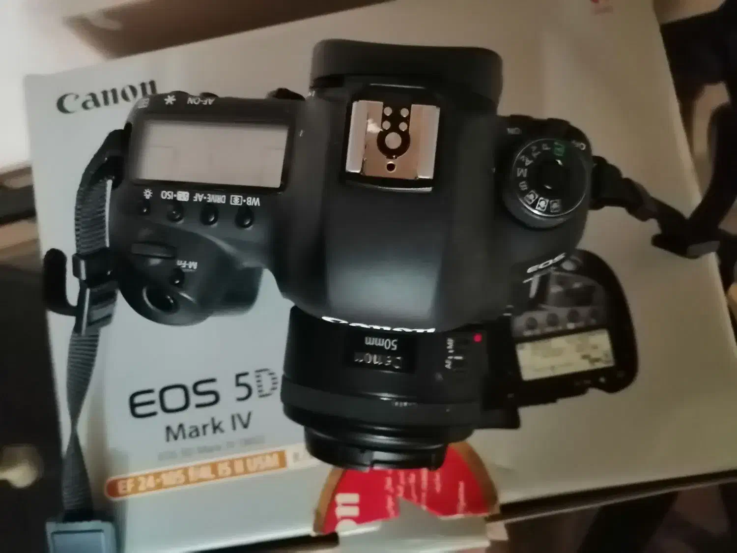 canon 5d mark4 IV کنون 5 دی مارک 4 لنز 50 میلیمتر|دوربین عکاسی و فیلم‌برداری|فولادشهر, B4|دیوار