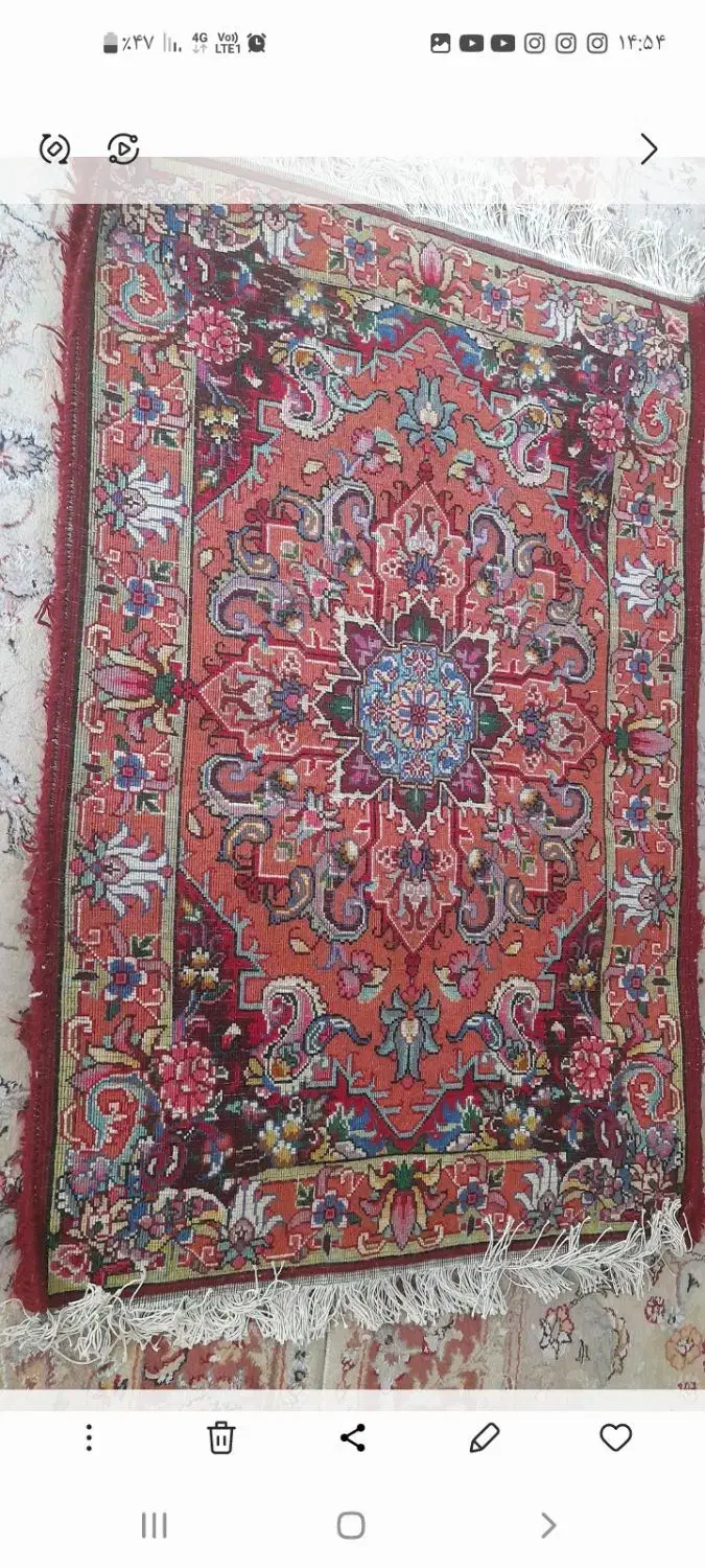 فرش زرنیم|فرش|تبریز, |دیوار