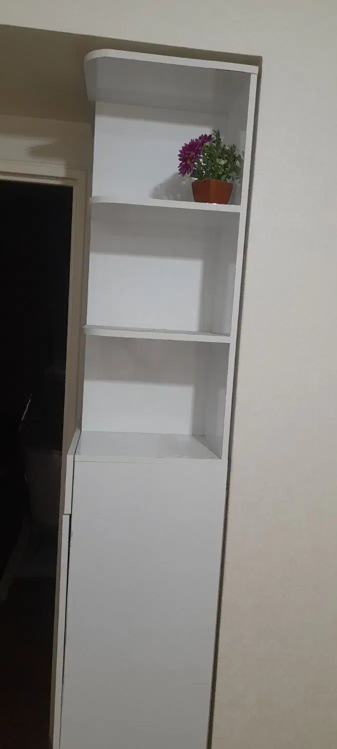 کمد کتابخونه دکوری دار|کتابخانه، شلف، قفسههای دیواری|تهران, مسعودیه|دیوار