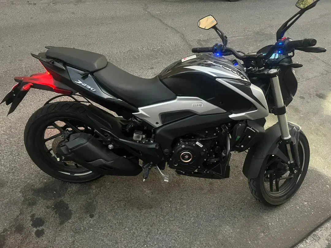 دومینار 250 مشکی|موتورسیکلت|تهران, تهرانپارس غربی|دیوار