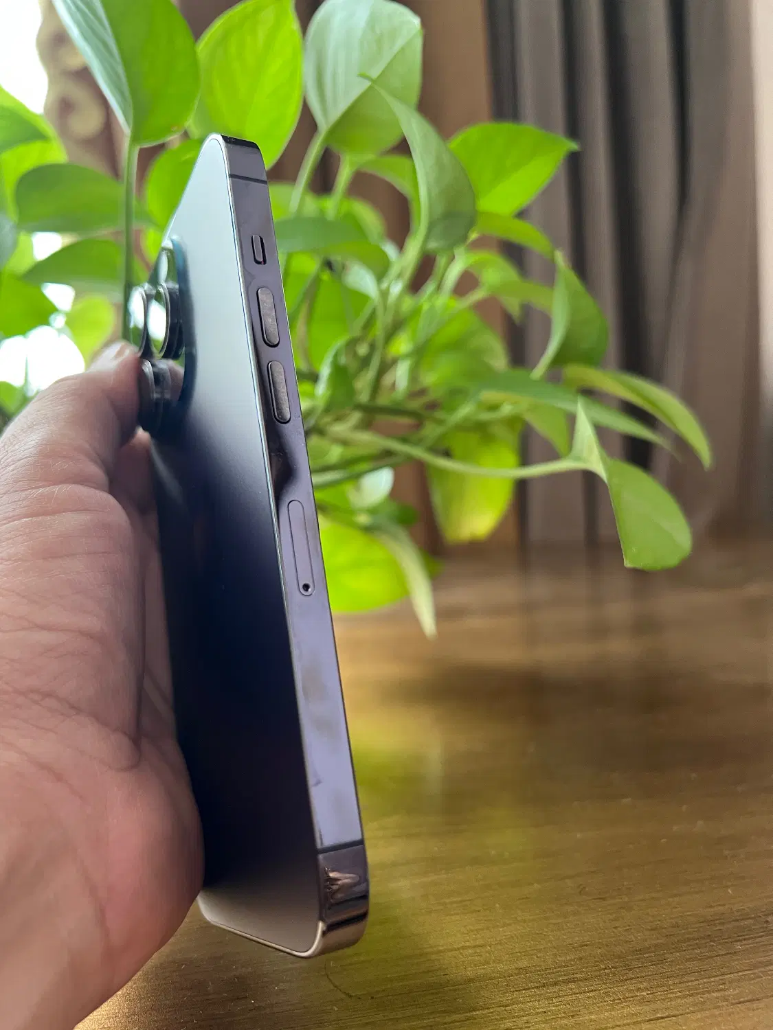 ایفون 14 pro|موبایل|مشهد, تبادکان|دیوار