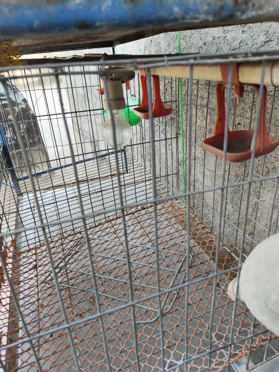 قغس|لوازم جانبی حیوانات|مشهد, حجت|دیوار