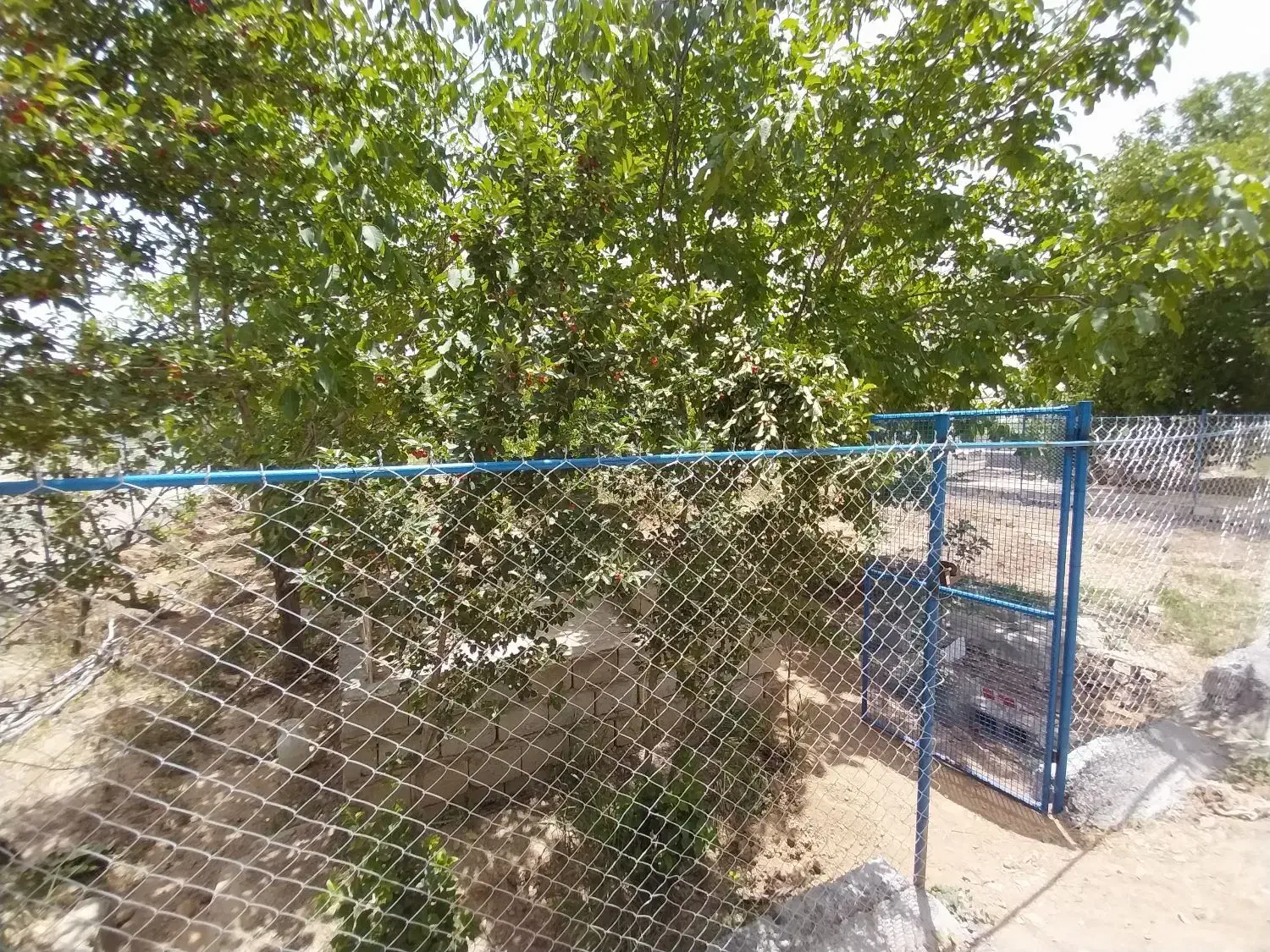 معاوضه یا فروش باغ تیران وکرون بامسکن مهر فولادشهر|فروش زمین و ملک کلنگی|فولادشهر, مسکن مهر فولادشهر|دیوار