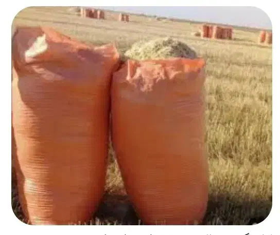 کاه گندم دیمی|لوازم جانبی حیوانات|لاجان, |دیوار