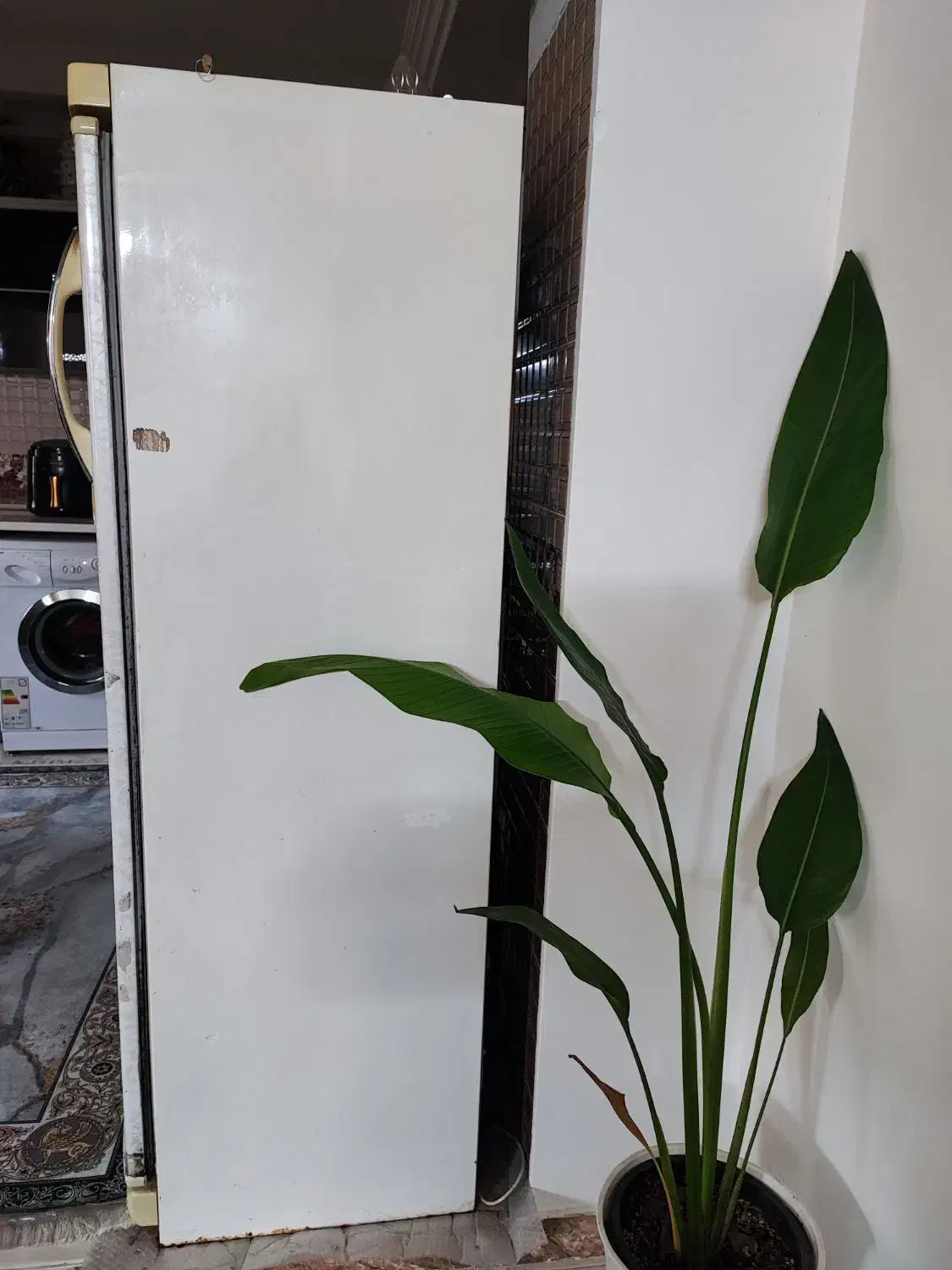 فریزر۸کشوو|یخچال و فریزر|قائم‌شهر, |دیوار