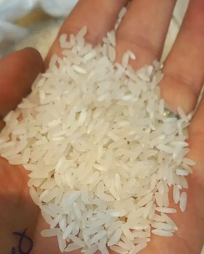 برنج محسن (بازرگانی شتایی)|خوردنی و آشامیدنی|کرج, حصارک بالا|دیوار