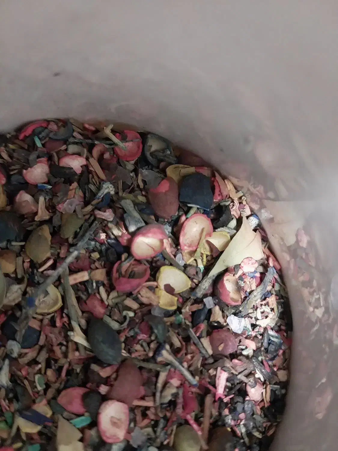 اسپند|گل و گیاه طبیعی|مشهد, نوید|دیوار