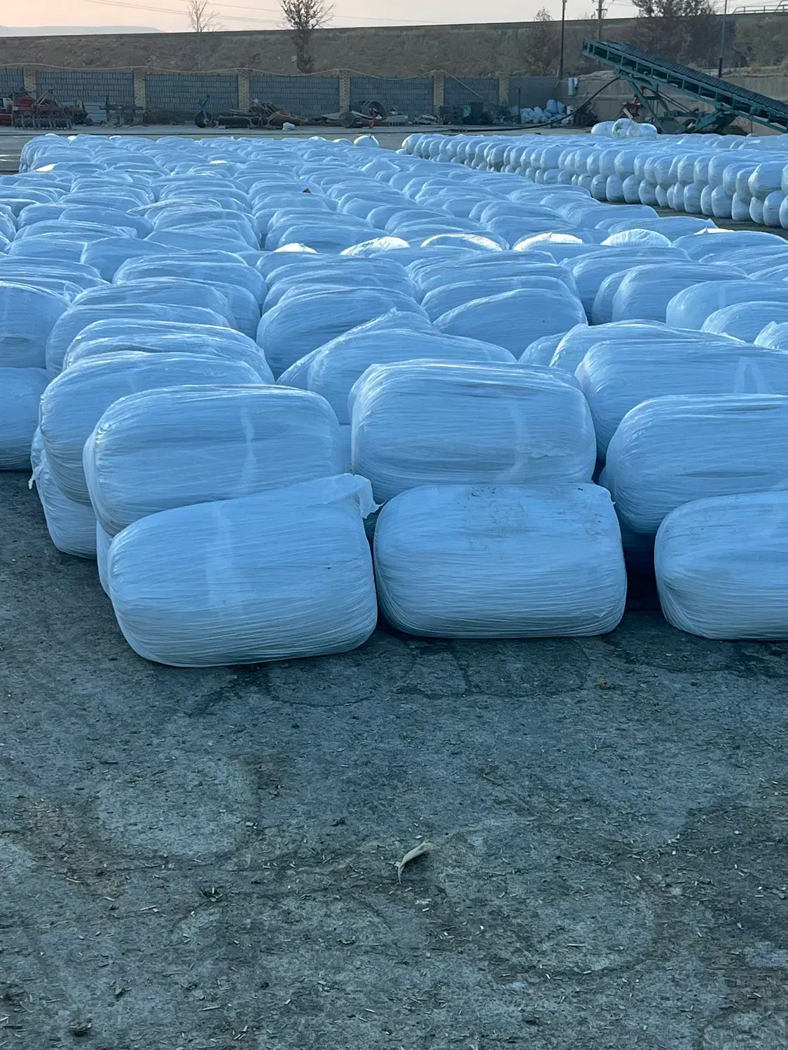 ذرت علوفه تخمیری|لوازم جانبی حیوانات|مرودشت, بیست متری بیمارستان|دیوار