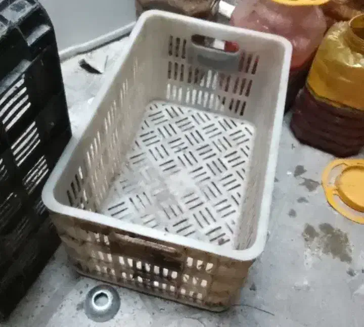 سبد|ظروف نگهدارنده، پلاستیکی، یک‌بارمصرف|مشهد, طبرسی شمالی|دیوار