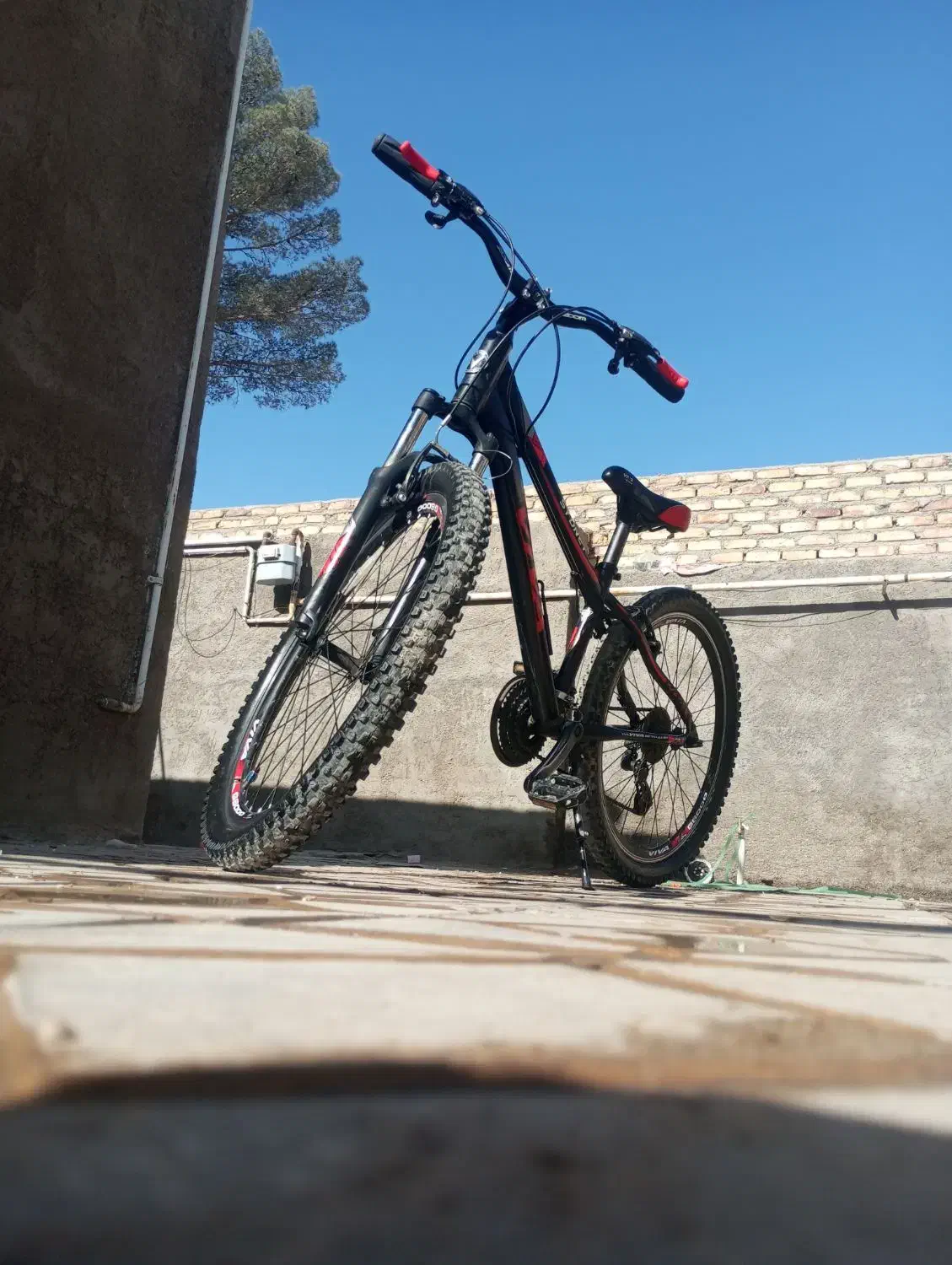 دوچرخه ویوا اصل|دوچرخه، اسکیت، اسکوتر|فردوس (خراسان), |دیوار