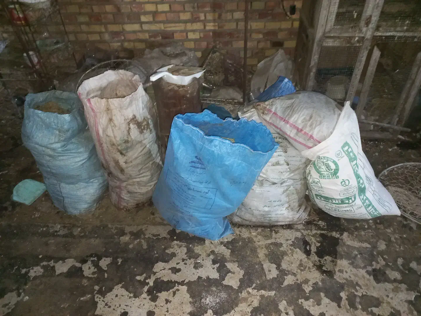 کود کبوتر|خدمات باغبانی و درختکاری|گنبد کاووس, |دیوار