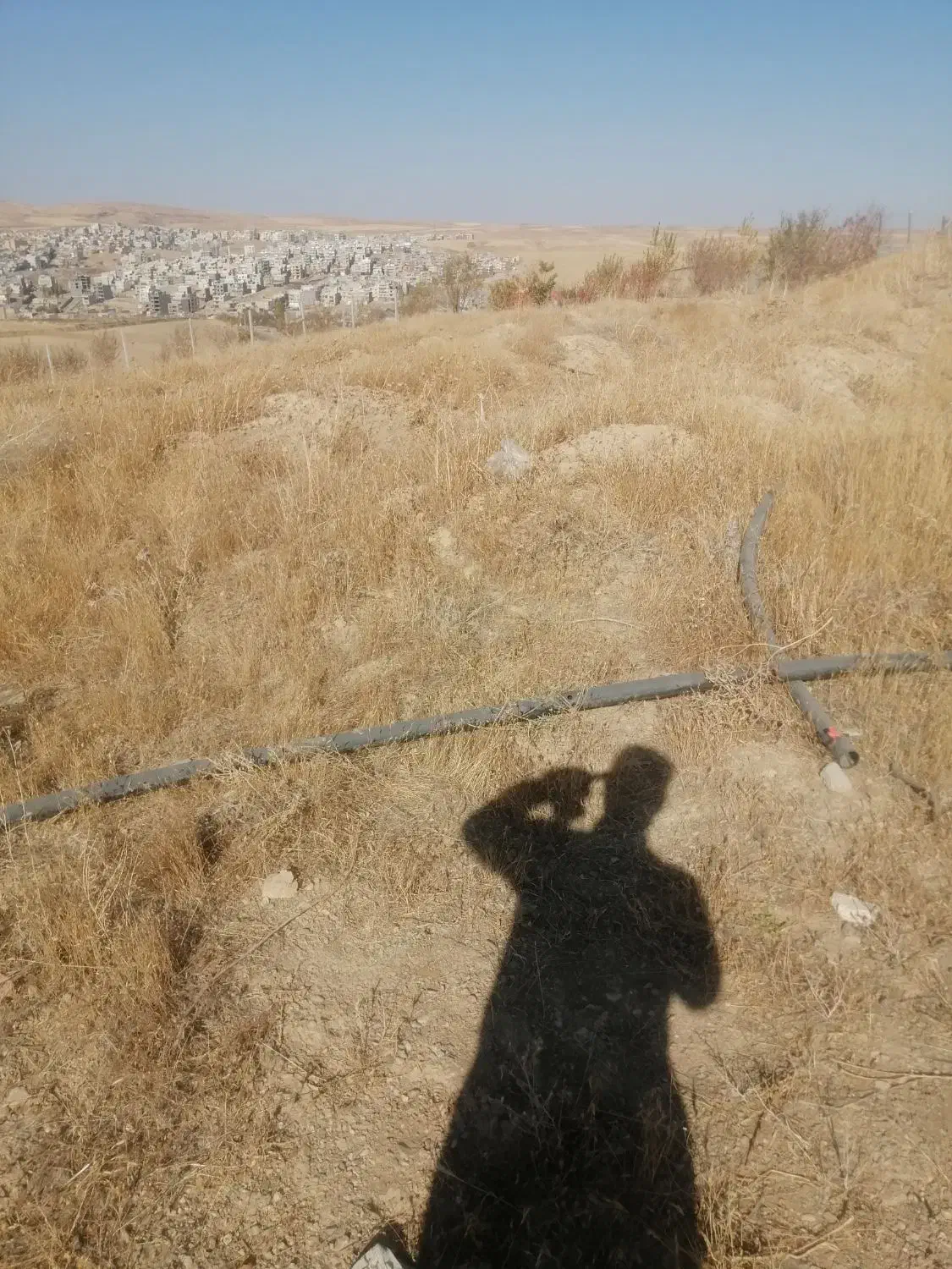 زمین خام کشاورزی پشت پارک جنگلی هوازو|فروش زمین و ملک کلنگی|سارال, |دیوار