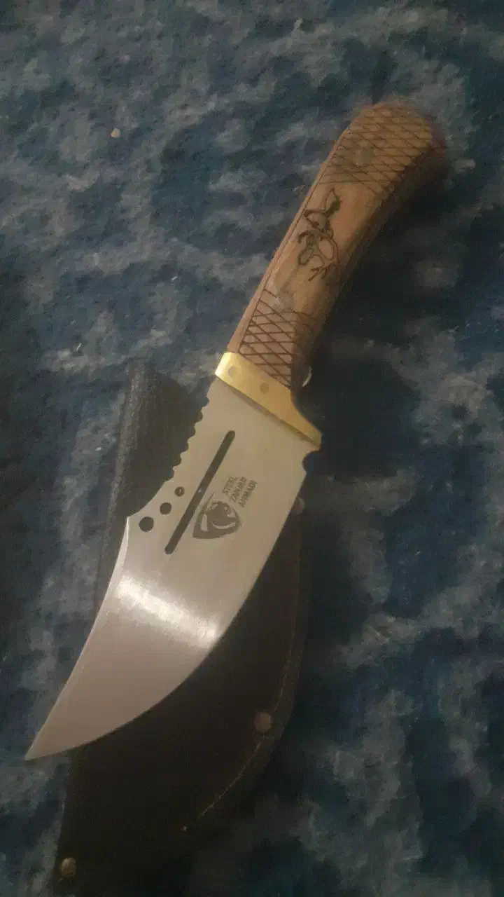 کوهنوردی|کوهنوردی و کمپینگ|کوهدشت, |دیوار