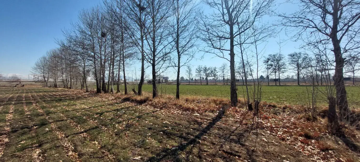 ۳۰ هزار متر زمین بر اتوبان قزوین به کرج سند تک برگ|فروش دفتر صنعتی، کشاورزی، تجاری|هشتگرد, شهرک افشاریه|دیوار