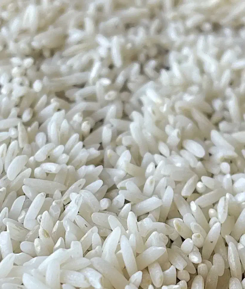 فروش برنج ایرانی ،حبوبات،و چای ایرانی|عمده‌فروشی|شیروان (خراسان), |دیوار