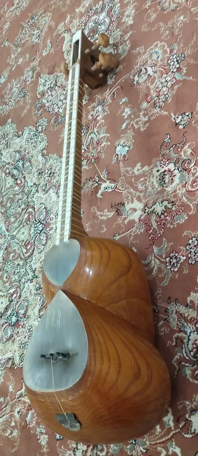 ساز تار|سازهای سنتی|مهاباد (آذربایجان غربی), |دیوار