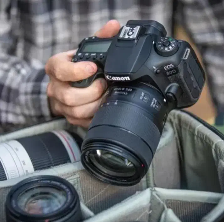 آتلیه عکاسی|خدمات پذیرایی، مراسم|اردل, |دیوار