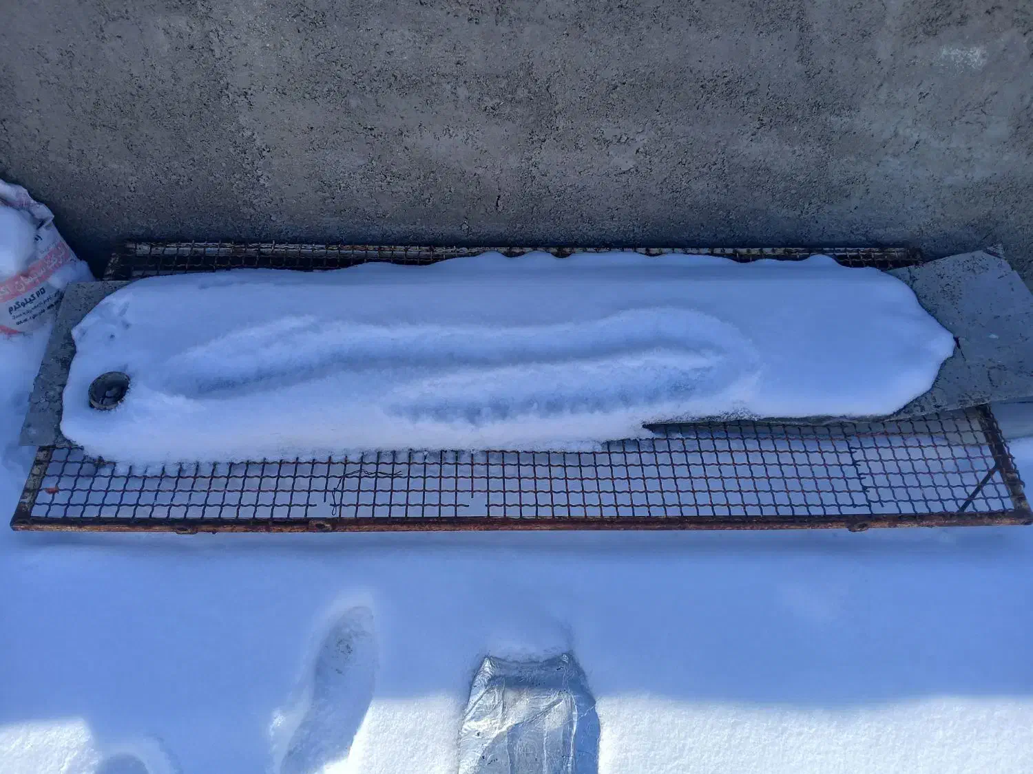 طوری کفتر|لوازم جانبی حیوانات|سامن, |دیوار