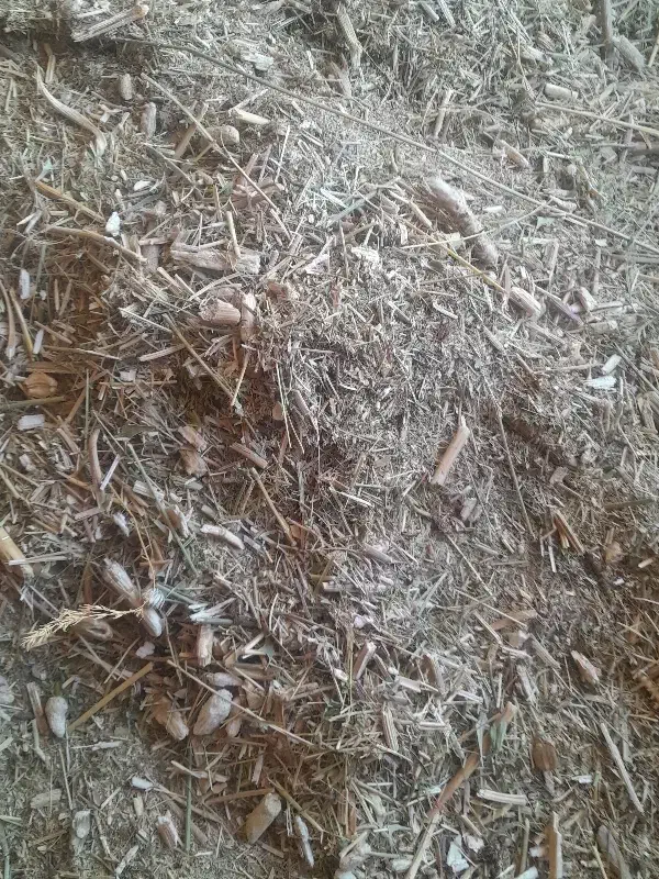 علف فروشی|حیوانات مزرعه|سرشیو, |دیوار