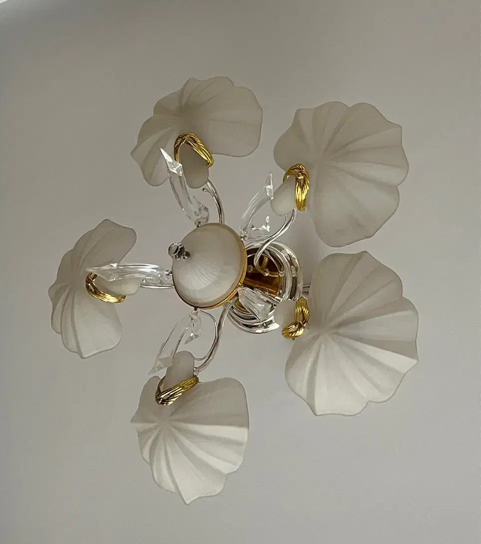 لوستر ۵شاخه صدفی|لوستر و چراغ آویز|تبریز, |دیوار