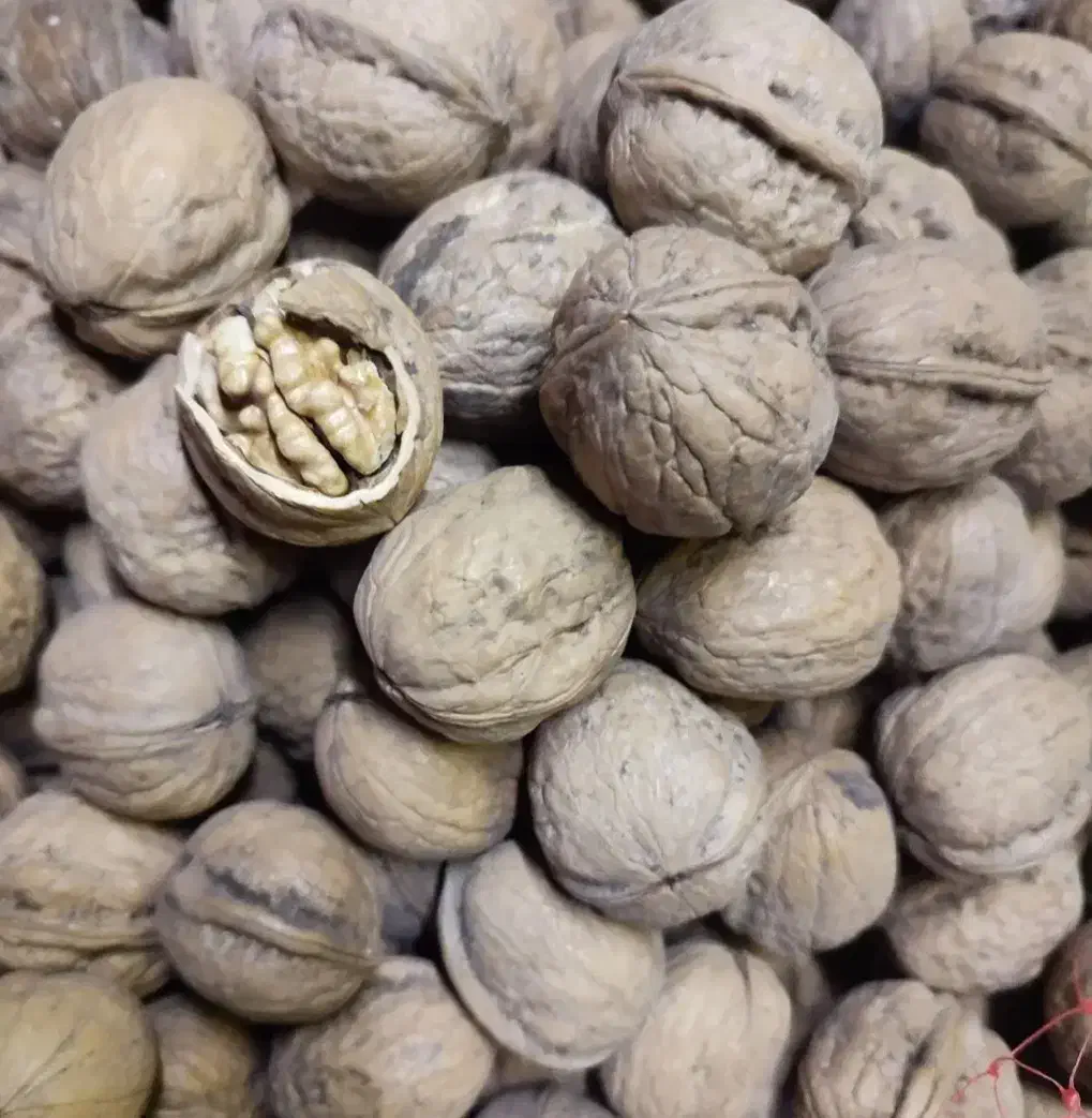 فندق وگردو|خوردنی و آشامیدنی|محمدیه-قزوین, |دیوار