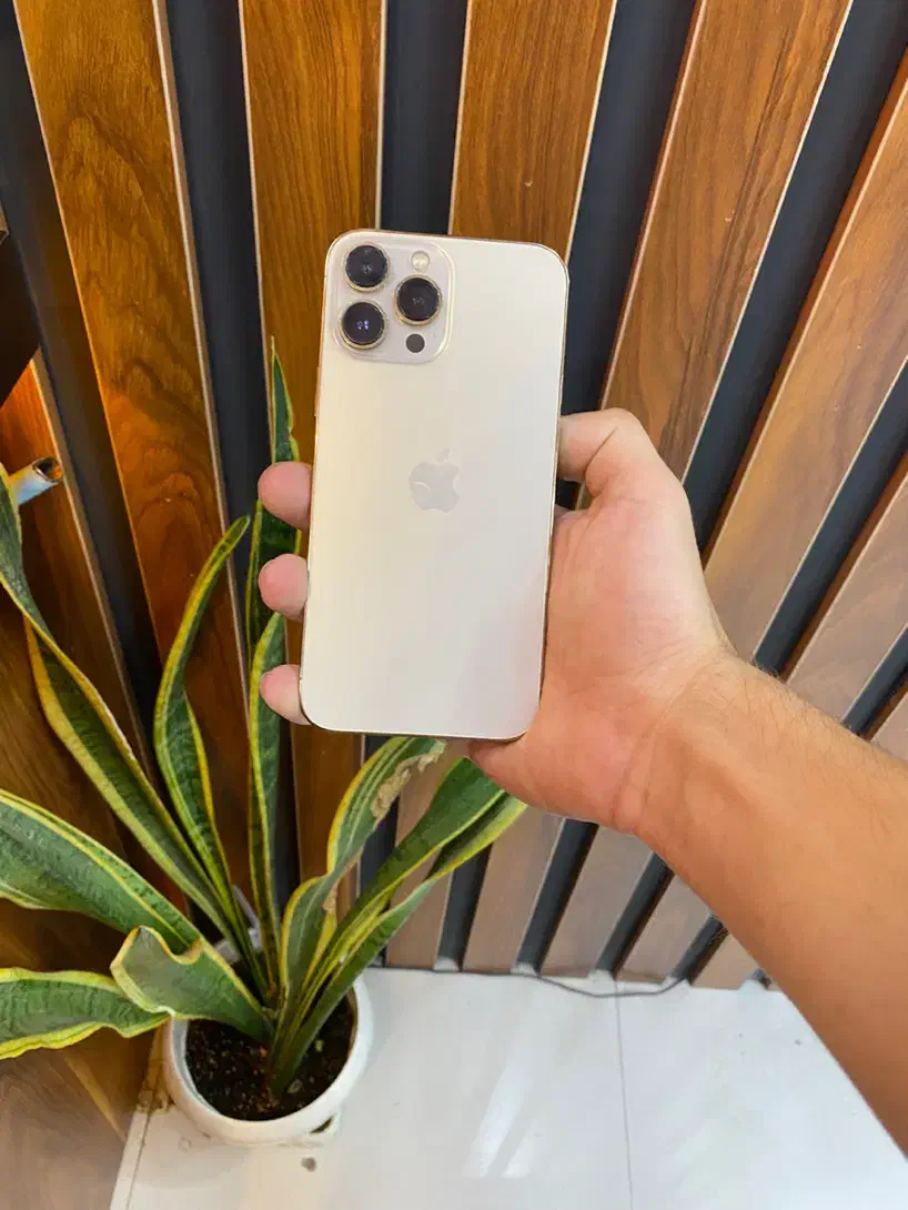Iphone 13 pro max|موبایل|کرج, گوهردشت|دیوار