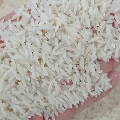 ۲۰ کیلو برنج هاشمی شمال|خوردنی و آشامیدنی|مشکیندشت, |دیوار