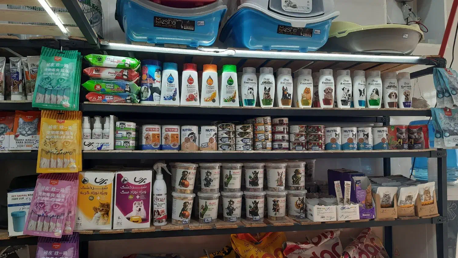 تجهیزات سگ وگربه|لوازم جانبی حیوانات|برازجان, |دیوار