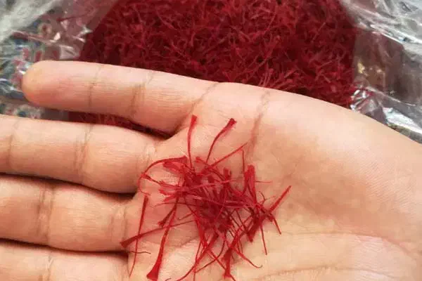 زعفران|خدمات پذیرایی، مراسم|بجنورد, |دیوار