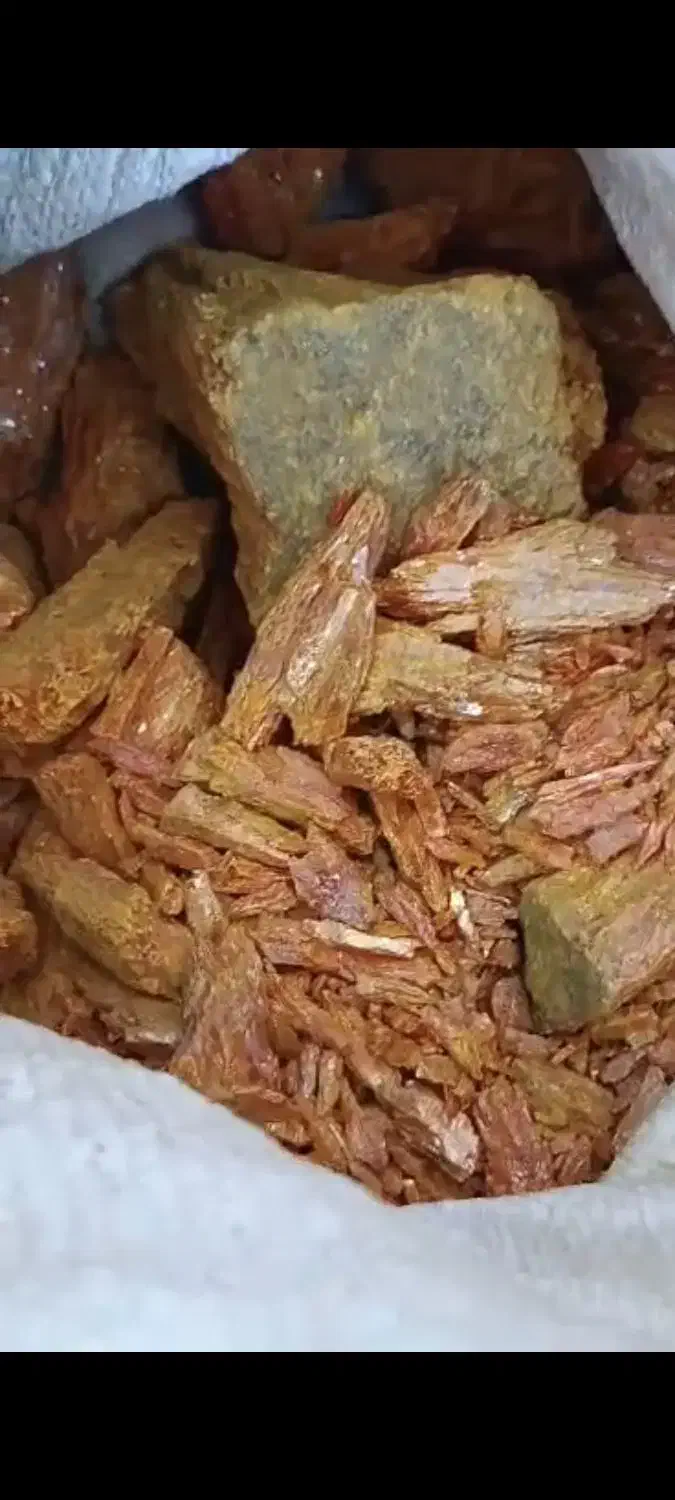 زرنیخ شاخه|آرایشی، بهداشتی، درمانی|قم, شهرک قدس|دیوار