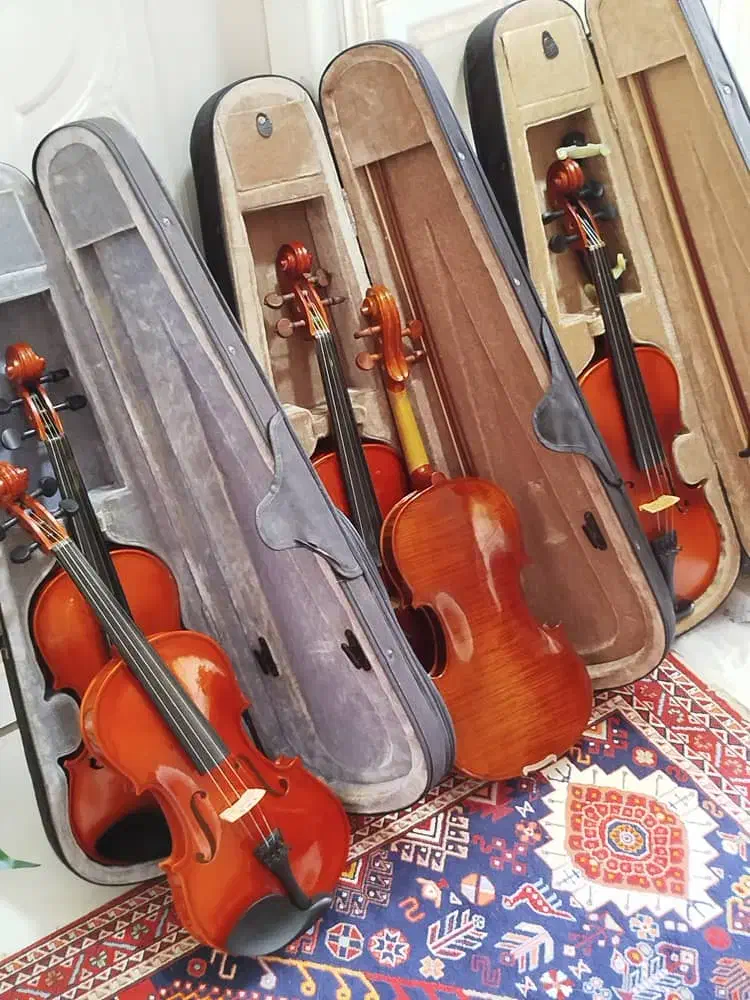 ویولون نو و درحدنو|ویولن|شیراز, مسلم|دیوار