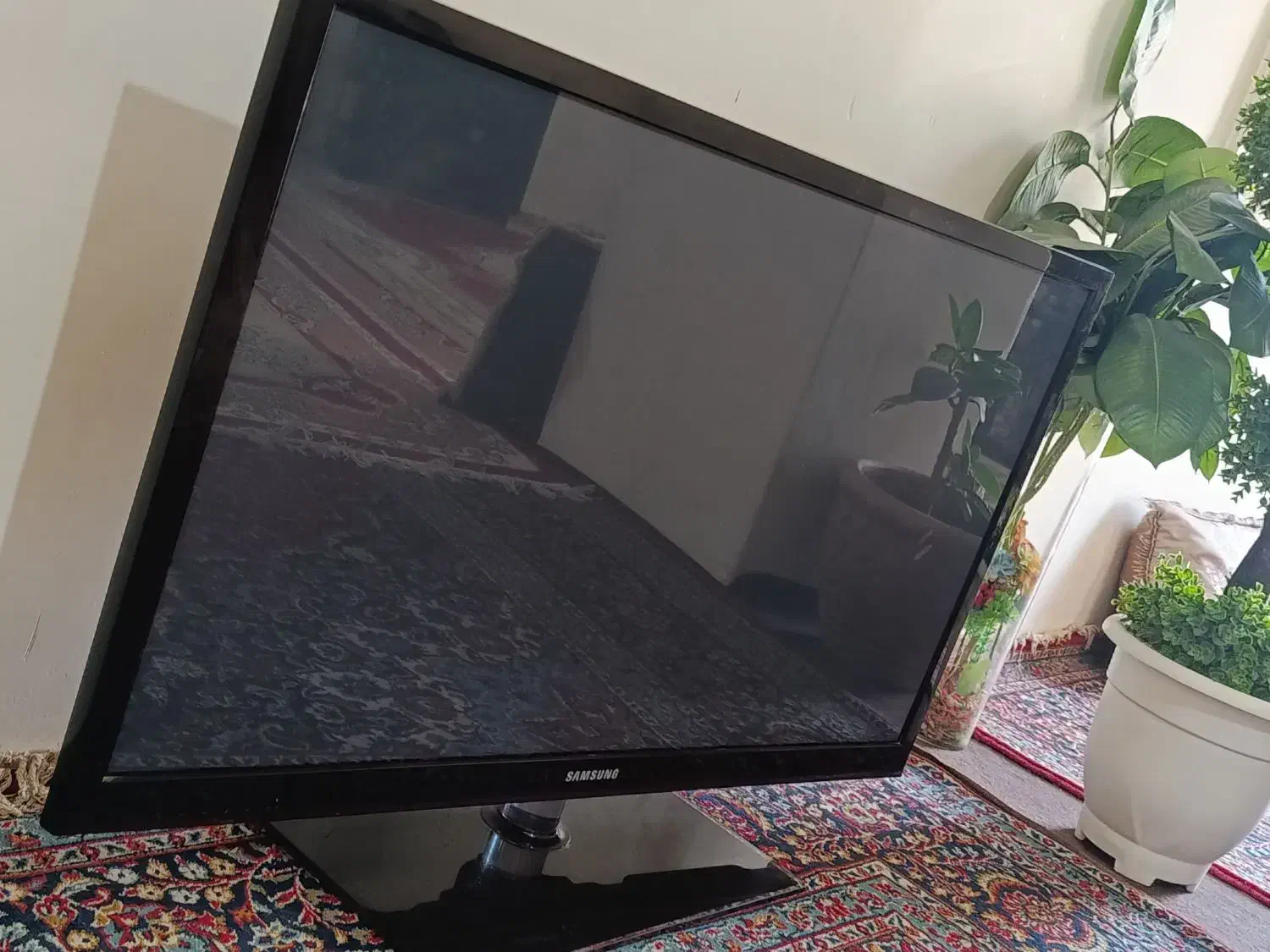 ال سی دی 43|تلویزیون و پروژکتور|کوه چنار, |دیوار