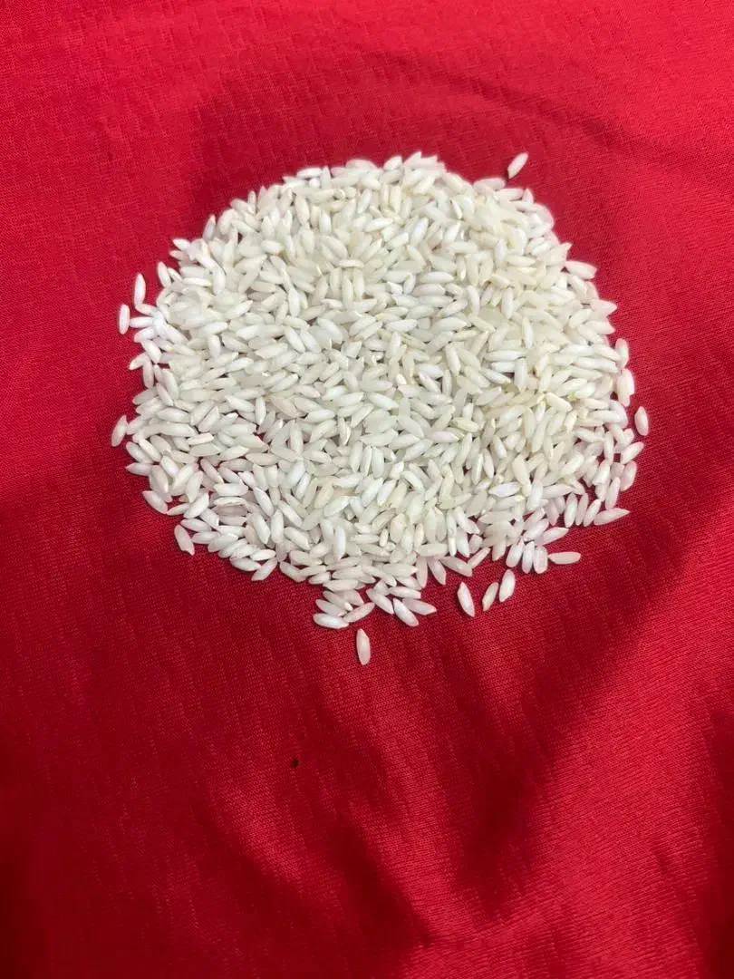برنج عنبر بو شوشتر|خوردنی و آشامیدنی|قم, ارم|دیوار