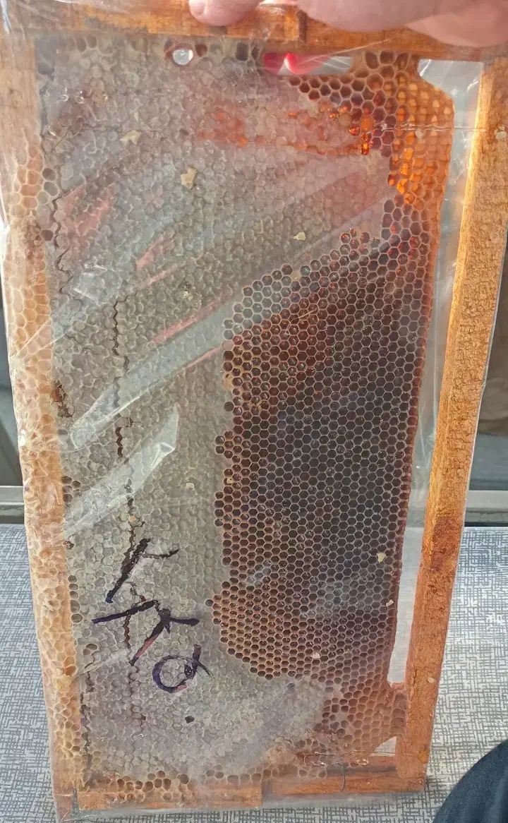 عسل + موم ( طبیعی )|خوردنی و آشامیدنی|حمیدیا, |دیوار